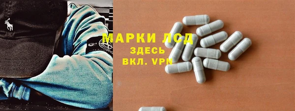 сатива Абинск