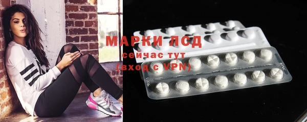сатива Абинск