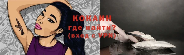 сатива Абинск