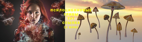 дурь Абдулино