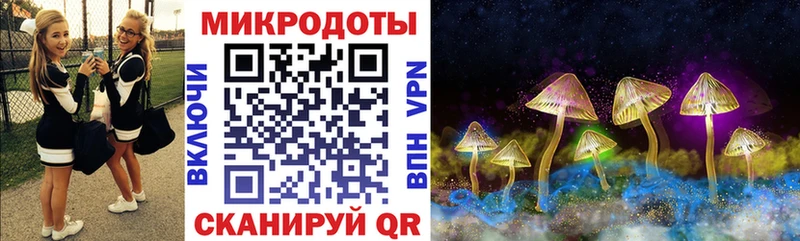 купить закладку  Трубчевск  Псилоцибиновые грибы Cubensis 